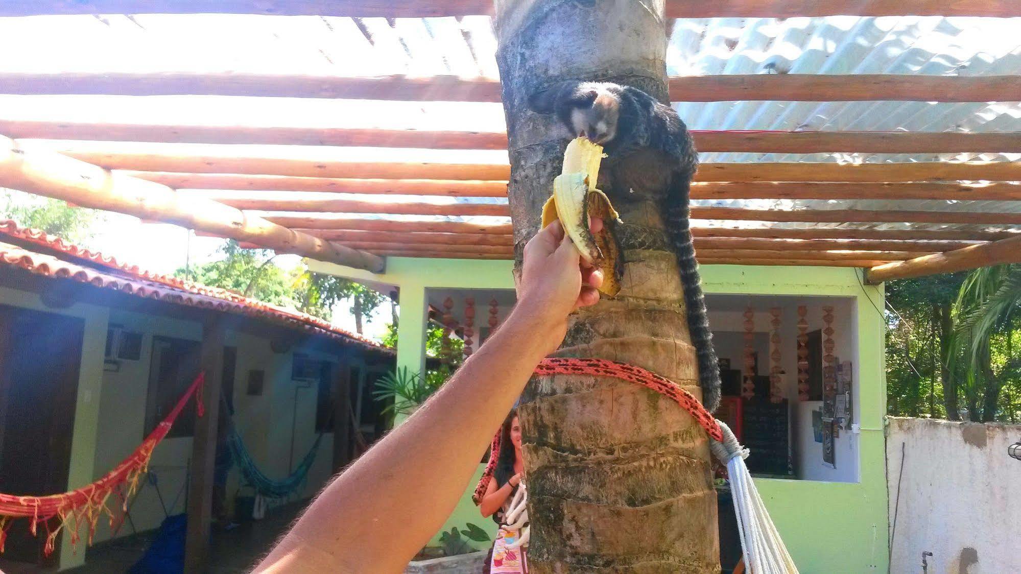 Pousada Tikuna Itacaré Exterior foto